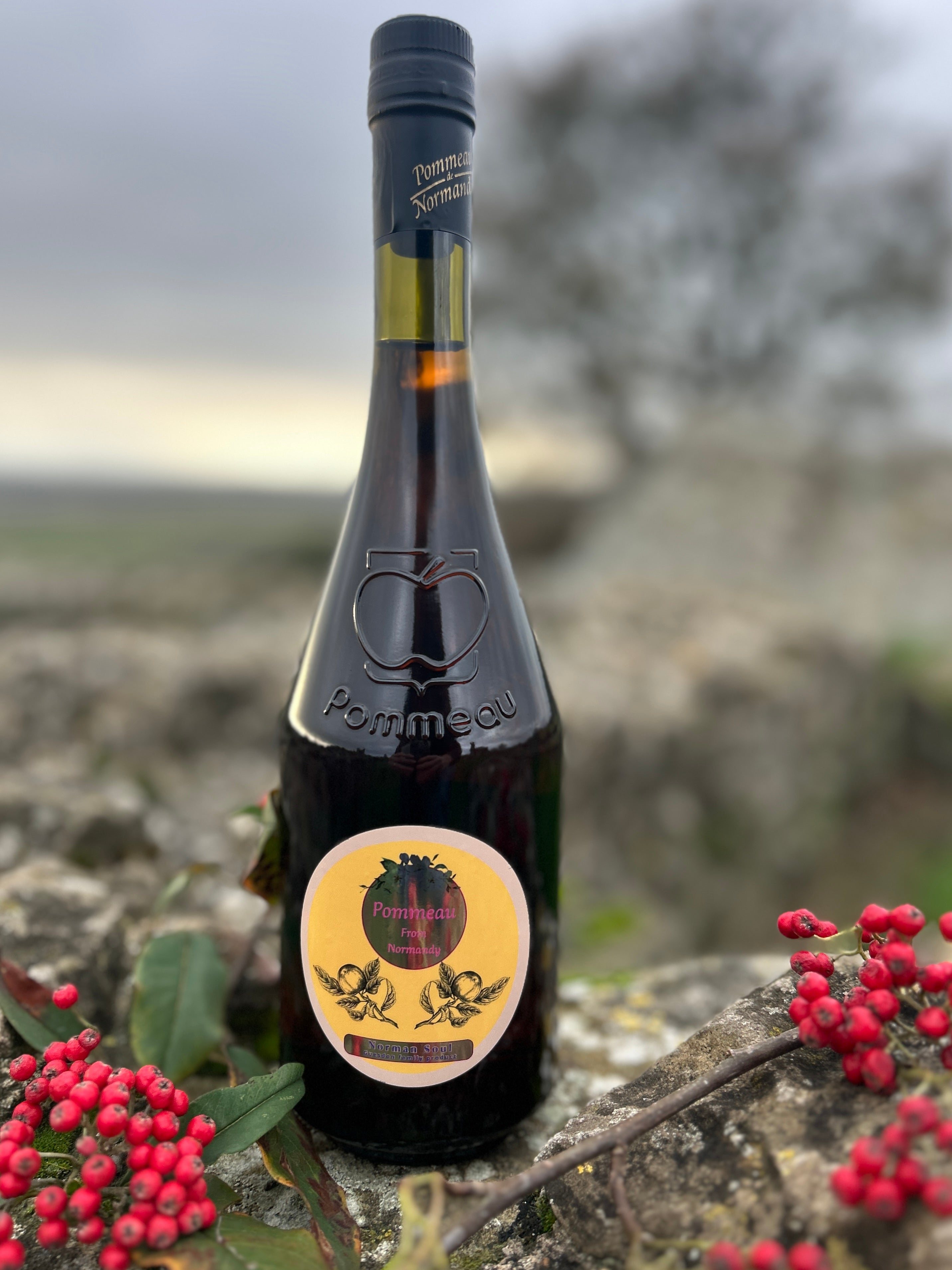 Pommeau - Apple liqueur